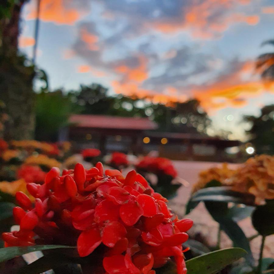 Panorama Park Hotel Igaracu do Tiete ภายนอก รูปภาพ